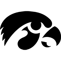 色表现